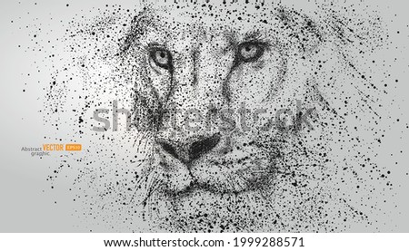 The close up of lion's face is composed of particles on gray background. Abstract vector animal background. Royalty-Free Stock Photo #1999288571