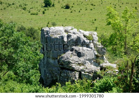 a rock resembling a head