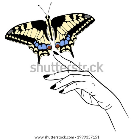 Human female hand holding Old world swallowtail butterfly. Papilio machaon. Creative concept. 