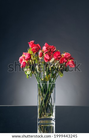 bouquet of dried pink roses in a vase, dark background