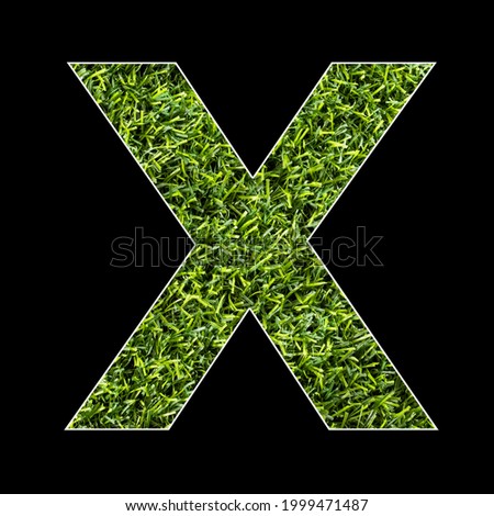 Letter X - Artificial grass background texture