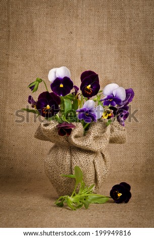 Beautiful pansy flowers on burlap background