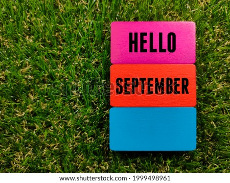 Colorful wooden board with text HELLO SEPTEMBER on grass background.