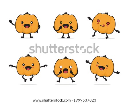 pumpkin cartoon. with different facial expressions and poses isolated on a white background