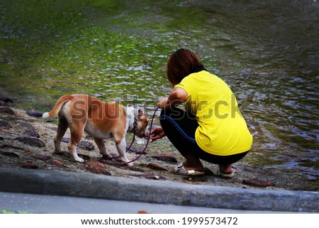 A woman feeds water scooped from a stream to a brown dog. It is a picture of friendship, love, bonding 
