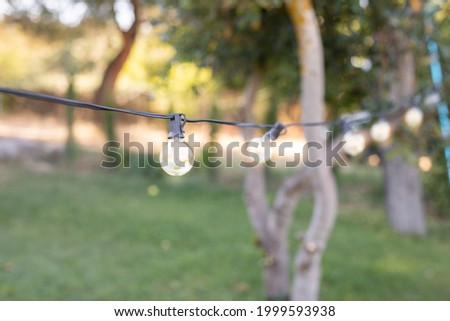 lights hanging on a terrace in summer