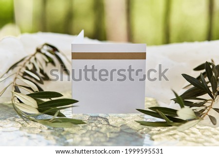 Summer white post card or invitation mock up with green sprig of olive tree. Bright sunny background. Minimalist refreshment tenderness background. High quality photo