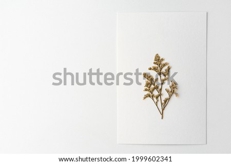 Creative and minimal autumn layout. Dry leave on white card and white background, pink. Flat lay top view. Copy space.