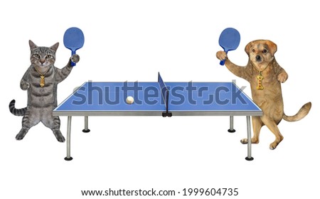 A gray cat and a beige dog are playing table tennis together. White background. Isolated.