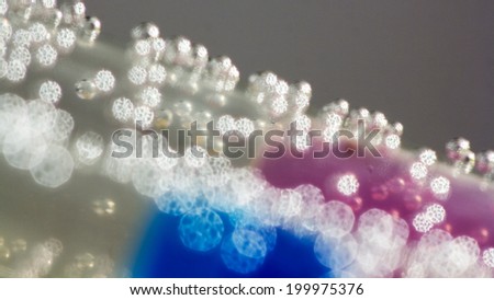 Abstract composition with underwater tubes with colorful jelly balls inside and bubbles 