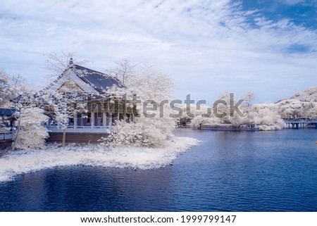 Infrared photography. White leaves and blue sky