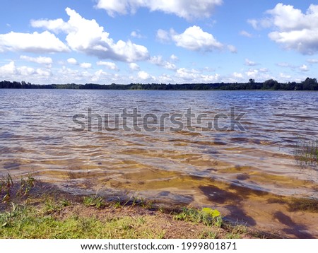 The water surface of the lake with lush, green grass in the foreground and a blue sky with cumulus clouds. Photo of a summer weekend, in sunny weather.