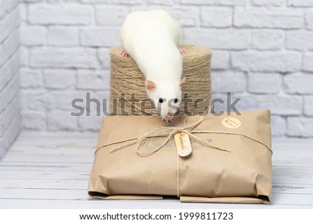 Little cute white rat sits on a gift wrapped in kraft paper. A roll of twine stands nearby.
