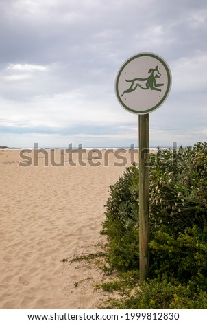 Sign indicating that dogs are allowed on the beach with the beach in the background 