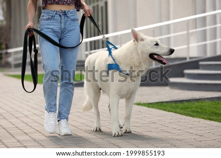 Young woman with her white Swiss Shepherd dog walking on city street, closeup
