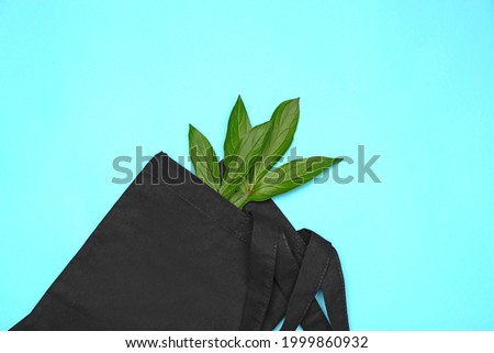 Eco bag on color background