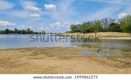 Beach of the Jeziorsko lake, Poland.