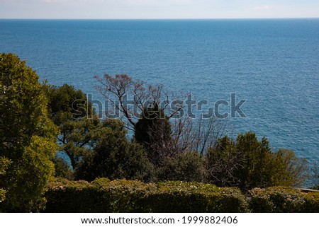 View of trees in spring against the background of the Black Sea from Vorontsov Castle Crimea