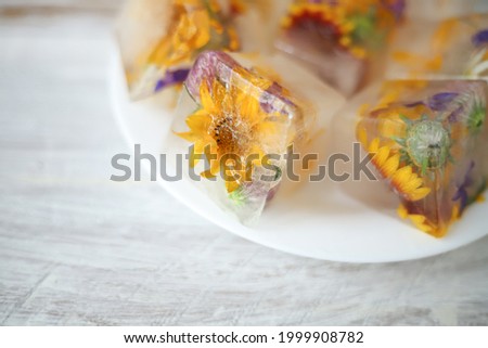 
ice cubes inside which fresh flowers and yellow red petals lie on a gray background next to a green monstera leaf. for business cards, labels, signage, splash screens, banners and flyers