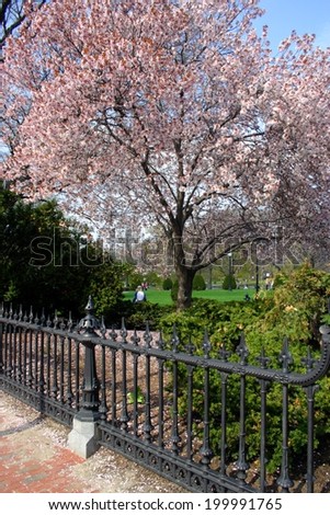 Boston Common and Public Garden, USA 