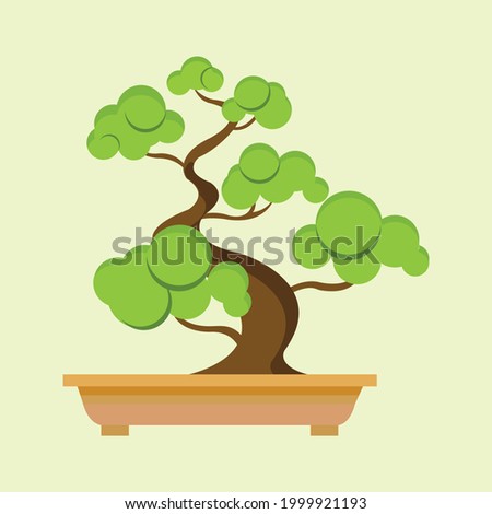 An isolated bonsai tree on a clean background. Vector illustration.