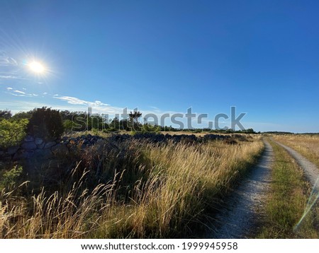 A small gravel road in the fields. The picture is taken from Byxelkrok, in Öland in Sweden.