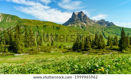 Flowered colored meadows in the alps of Austria, with forests, rocky mountains and steep, stony slopes on a sunny day with veil clouds. the mountain has two peaks in Bregenzerwald, Vorarlberg, Austria Royalty-Free Stock Photo #1999965962