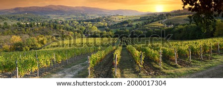 Beautiful vineyards in Tuscany at sunset near Greve in Chianti. Tuscany, Italy Royalty-Free Stock Photo #2000017304