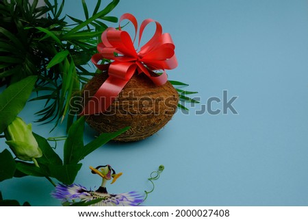 Passion flower, monstera leaf, palm leaf, coconut with a red bow on a blue background. Background for the inscription.