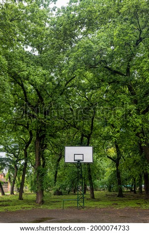 Basketball Court. Basketball hoop near the tree.