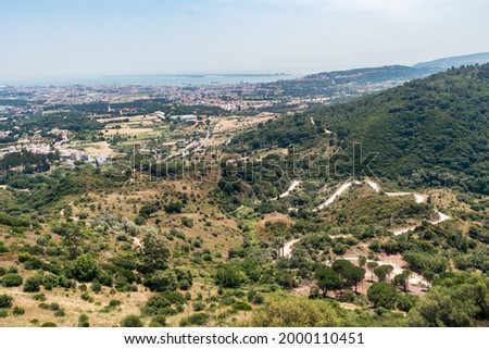 Trees and forest vegetation on a hill with Setubal and Atlantic Ocean in gradient in the horizon, PORTUGAL