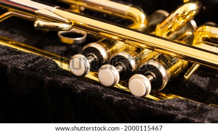 Close-up pearl keys on golden brass trumpet in a black velvet case. Selective focus