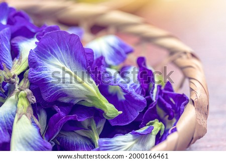 close-up of fresh butterfly pea flower in basket