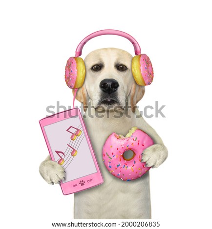 A dog labrador in pink donut earphones holds a smartphone and a doughnut. White background. Isolated.
