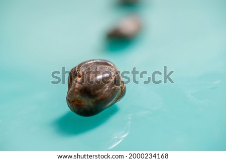 The uneven dark stone close-up on a turquoise background casts a shadow. The background is blurred from behind, stones are visible. Empty space for text. This is a horizontal picture.
