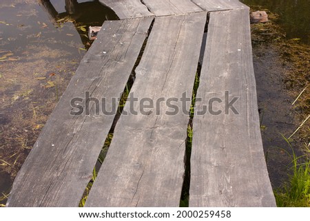 wooden path on the shore of the pond