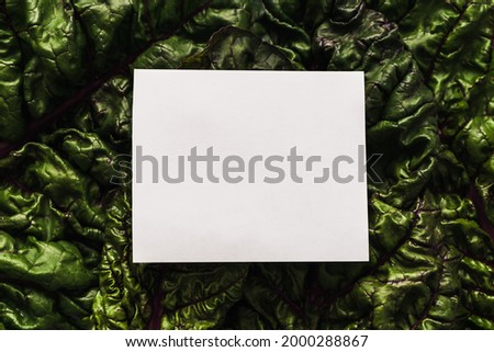 Raw Swiss chard leaves in the background and a blank sheet of paper. Top view. 