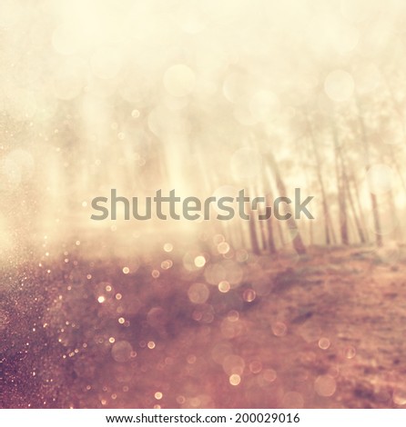 abstract photo of light burst among trees and glitter bokeh. filtered image and textured.