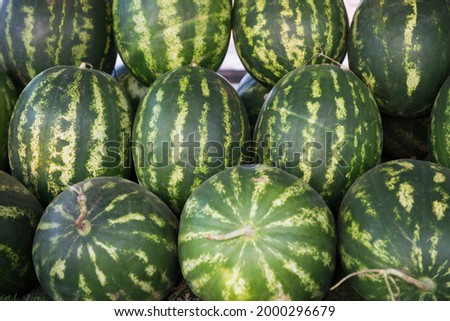 
Large ripe watermelons lie in a stack