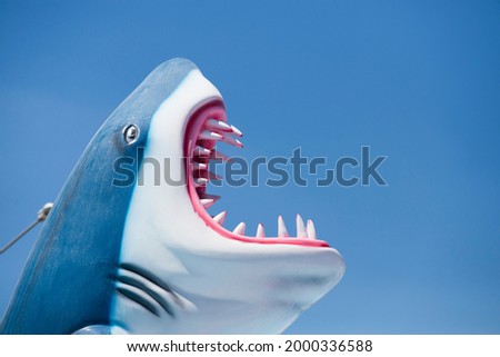 image of a shark on a blue sky background. Free space for text