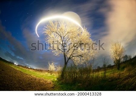 Night aerial photo with a drone - it flies in a circle around a blooming spring tree against the background of stars and clouds. Freezelight art