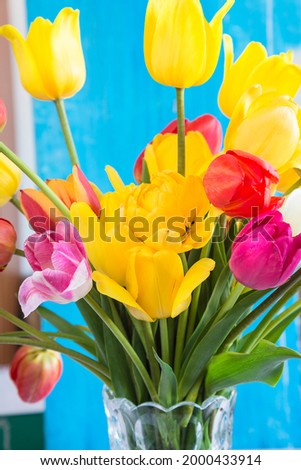 Beautiful bouquet of yellow and red tulips on blue background; vertical picture