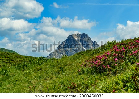 red flowered colored meadows and Körber lake in the alps of Bregenzerwald, with rocky mountains and steep, stony slopes on a sunny day with veil clouds. Trees and forests make the picture interesting