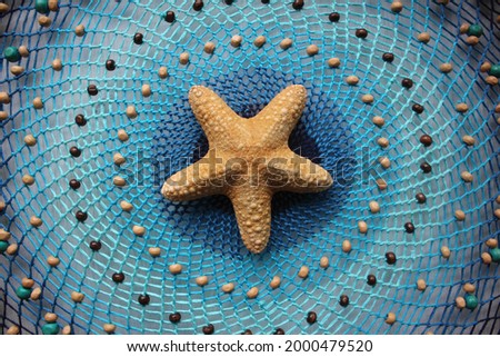 Beautiful blue dream catcher with a starfish. An Indian amulet against bad dreams.