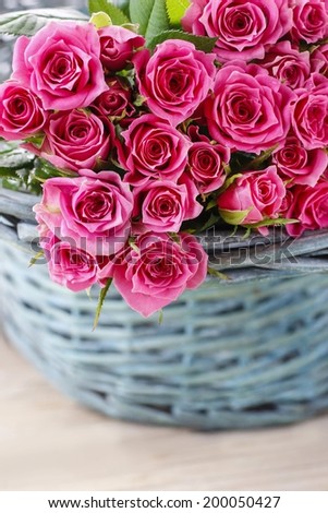 Pink roses in turquoise wicker basket