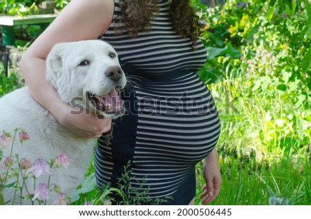 Stock Foto Profile of silhouette of pregnant woman in striped dress with hands on belly in profile with big white dog