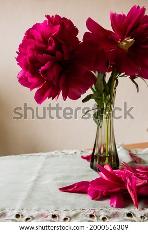 peony, red flower blossom in vase, vintage spring
