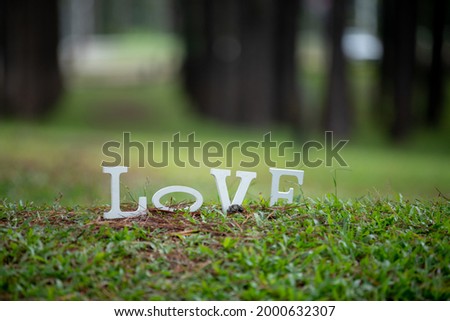 Image Love,wooden alphabet Love on green grass background with space for your text and design.Concept for card,calendar,banner of Valentine’s Day.Blur picture and exposure.