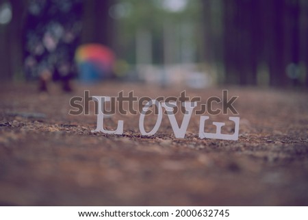 Image Love,wooden alphabet Love on green grass background with space for your text and design.Concept for card,calendar,banner of Valentine’s Day.Blur picture and exposure.