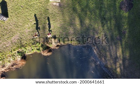 Pond shadows. Children running by water.